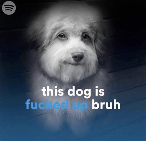 fucked up dog|This Dog Is Fucked Up Bruh .